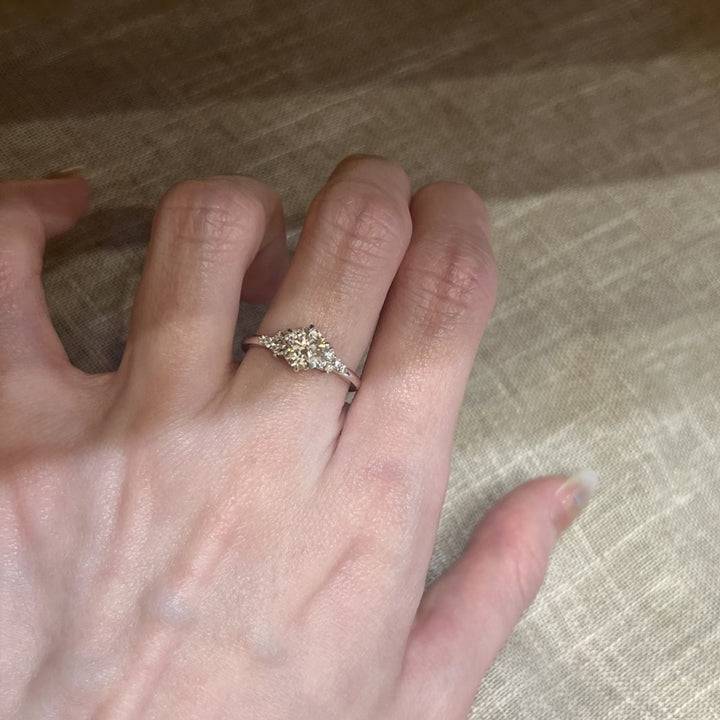 S925 Silver Classic Round CZ Ring | Graduated Cluster Accent Band